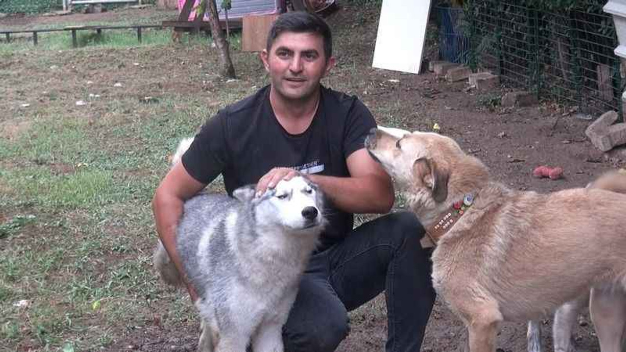 Hayatını sokak hayvanlarına adadı